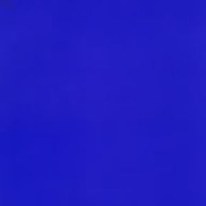 Meet your Posher, Phoebe